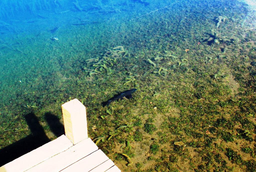 Lodge De Montana Lago Monreal إل بلانكو المظهر الخارجي الصورة